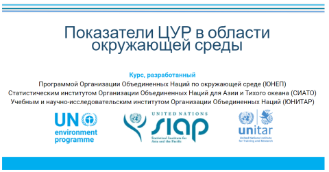 Banner - Env. SDG Indicators course - RU