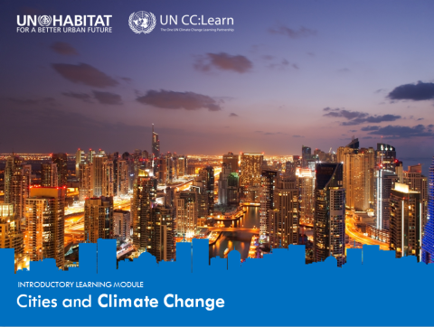 Climate Change and Cities