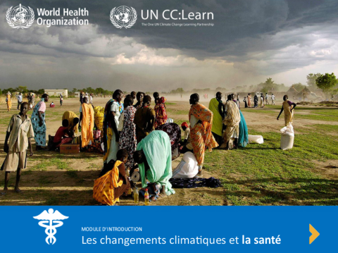 Les changements climatiques et la santé