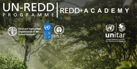 REDD+ Academy e-course